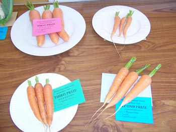 Carrots