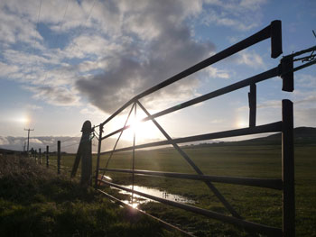 An Evening in Sourin - March 2009