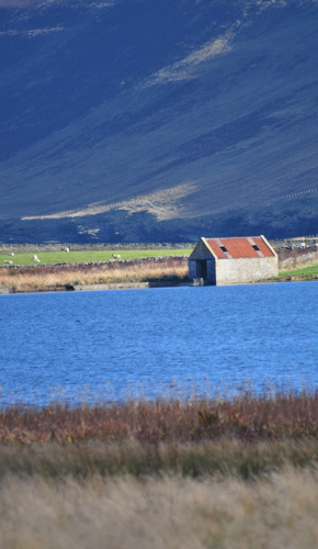 Loch Shed