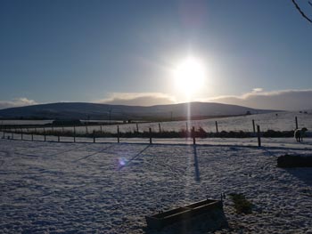 Snowy Field - February 2009