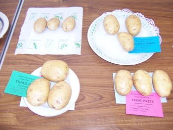 Potatoes