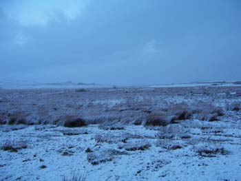 Snowy Field - March 2008