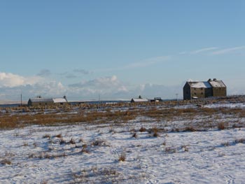 Snow Scenery - February 2009