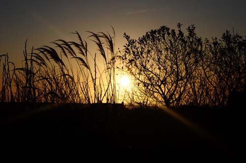 Sourin, Rousay - November 2009